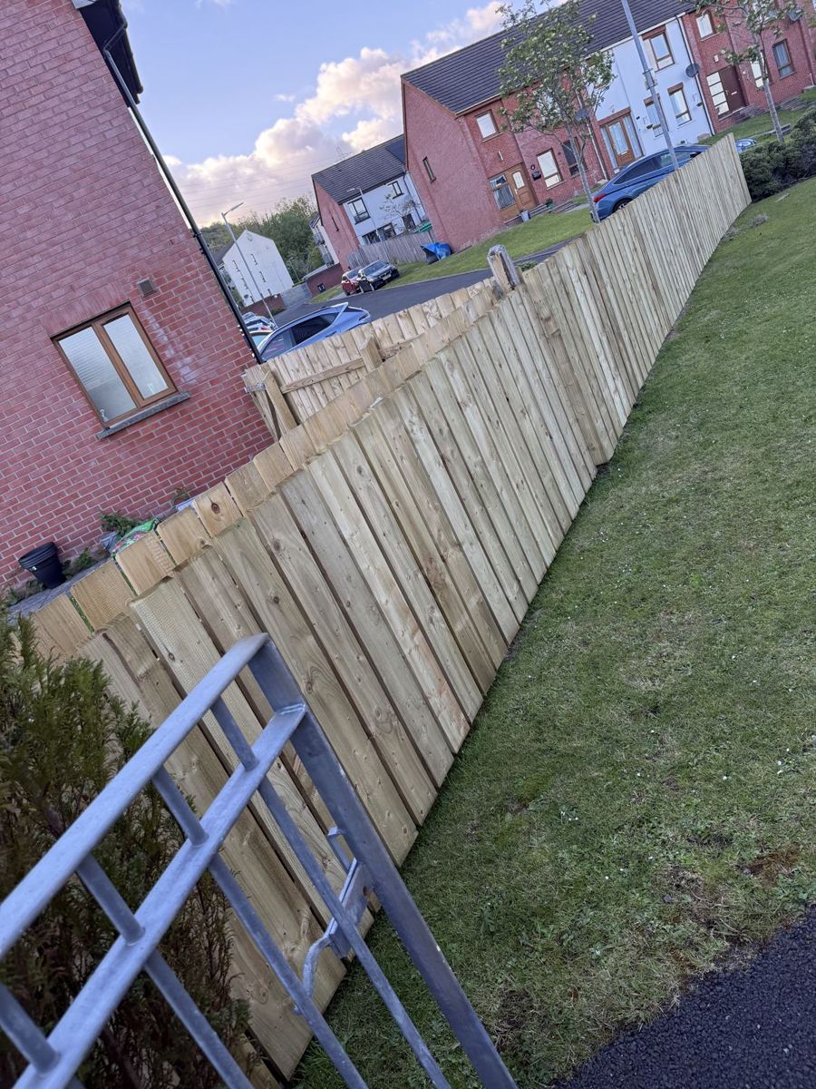 Tall new timber fence along the same lawn